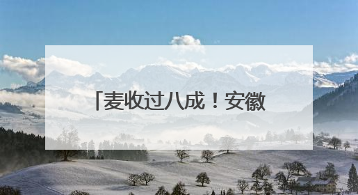 麦收过八成！安徽夏粮有望再迎丰收