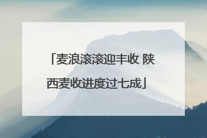 麦浪滚滚迎丰收 陕西麦收进度过七成