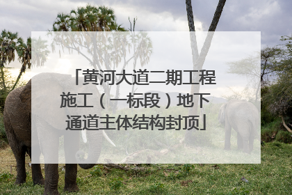 黄河大道二期工程施工（一标段）地下通道主体结构封顶