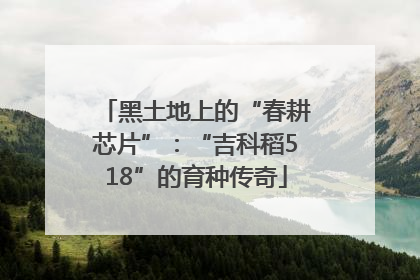 黑土地上的“春耕芯片”：“吉科稻518”的育种传奇