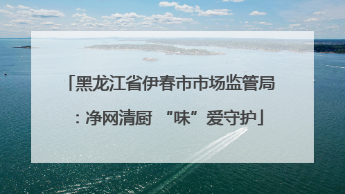 黑龙江省伊春市市场监管局：净网清厨 “味”爱守护