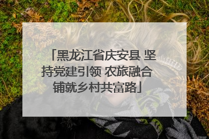 黑龙江省庆安县 坚持党建引领 农旅融合铺就乡村共富路