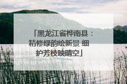 黑龙江省桦南县：精修绿韵绘新景 细护芳枝映晴空