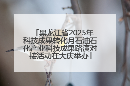 黑龙江省2025年科技成果转化月石油石化产业科技成果路演对接活动在大庆举办