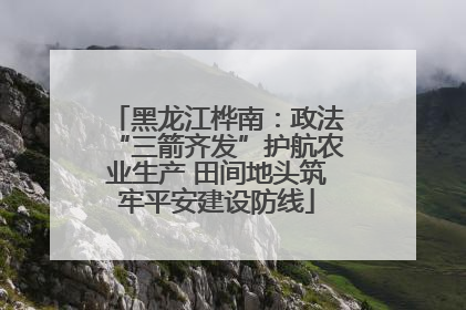黑龙江桦南：政法“三箭齐发”护航农业生产 田间地头筑牢平安建设防线