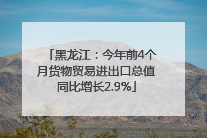 黑龙江：今年前4个月货物贸易进出口总值同比增长2.9%