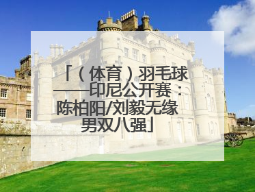 （体育）羽毛球——印尼公开赛：陈柏阳/刘毅无缘男双八强