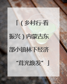 （乡村行·看振兴）内蒙古东部小镇林下经济“茸光焕发”