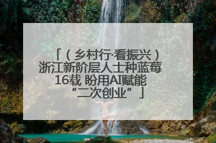 （乡村行·看振兴）浙江新阶层人士种蓝莓16载 盼用AI赋能“二次创业”
