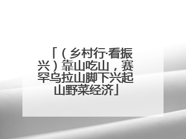 （乡村行·看振兴）靠山吃山，赛罕乌拉山脚下兴起山野菜经济
