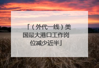 （外代一线）美国最大港口工作岗位减少近半