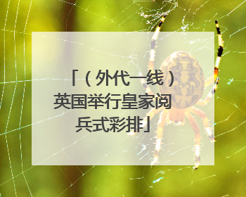 （外代一线）英国举行皇家阅兵式彩排
