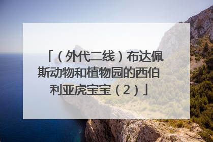 （外代二线）布达佩斯动物和植物园的西伯利亚虎宝宝（2）