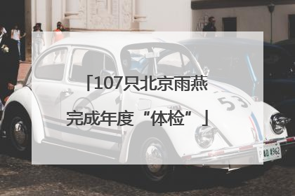 107只北京雨燕完成年度“体检”