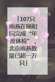 107只雨燕在颐和园完成“年度体检”，北京雨燕数量已超一万只