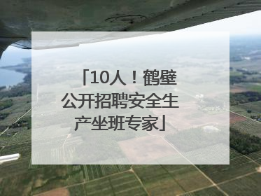 10人！鹤壁公开招聘安全生产坐班专家