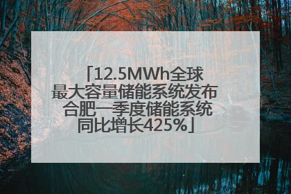 12.5MWh全球最大容量储能系统发布 合肥一季度储能系统同比增长425%