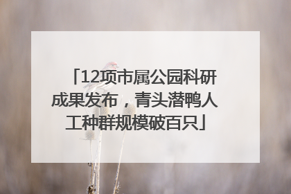 12项市属公园科研成果发布，青头潜鸭人工种群规模破百只