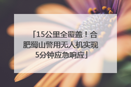 15公里全覆盖！合肥蜀山警用无人机实现5分钟应急响应