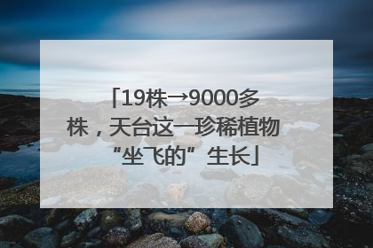 19株→9000多株，天台这一珍稀植物“坐飞的”生长