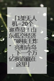 1架无人机=20个巡查员！山东低空经济“硬核王炸”亮相青岛，下一个万亿赛道藏在这里