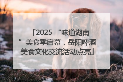2025 “味道湖南”美食季启幕，岳阳啤酒美食文化交流活动点亮