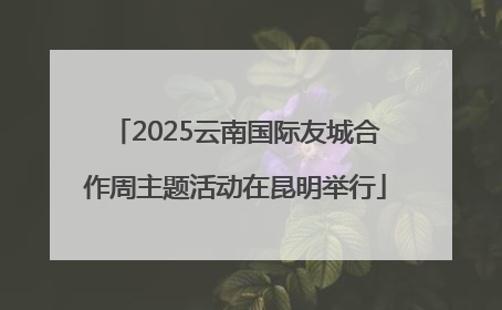 2025云南国际友城合作周主题活动在昆明举行