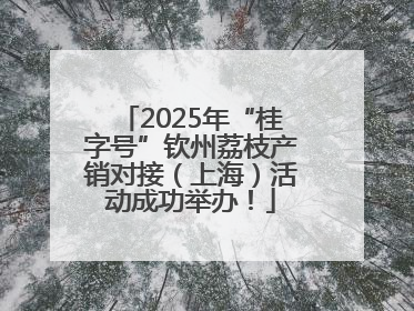 2025年“桂字号”钦州荔枝产销对接（上海）活动成功举办！