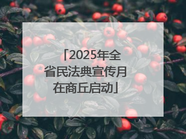 2025年全省民法典宣传月在商丘启动