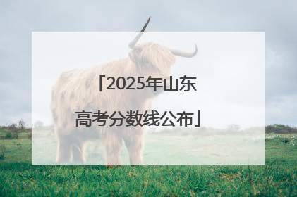 2025年山东高考分数线公布