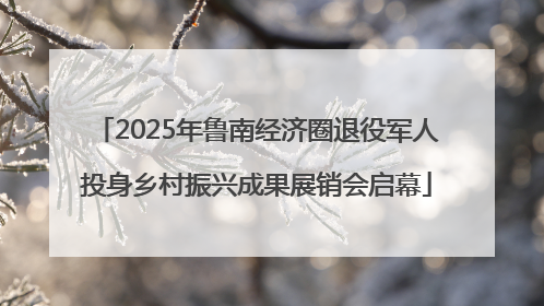 2025年鲁南经济圈退役军人投身乡村振兴成果展销会启幕