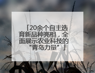 20余个自主选育新品种亮相，全面展示农业科技的“青岛力量”
