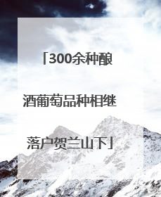 300余种酿酒葡萄品种相继落户贺兰山下