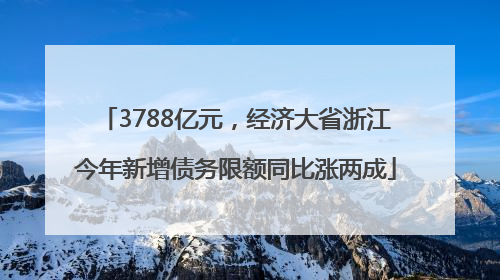 3788亿元，经济大省浙江今年新增债务限额同比涨两成