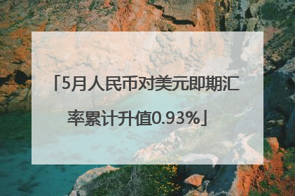 5月人民币对美元即期汇率累计升值0.93%