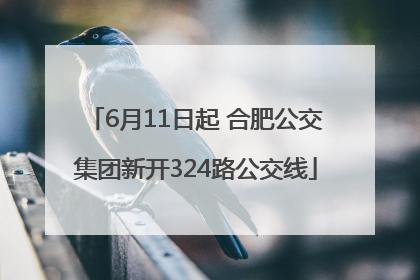 6月11日起 合肥公交集团新开324路公交线
