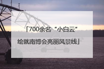 700余名“小白云”绘就南博会亮丽风景线