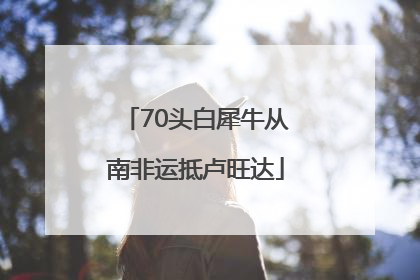 70头白犀牛从南非运抵卢旺达