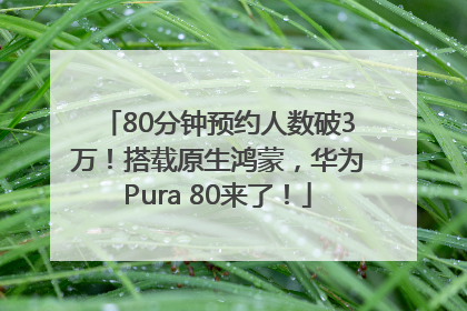 80分钟预约人数破3万！搭载原生鸿蒙，华为Pura 80来了！