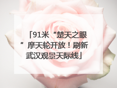 91米“楚天之眼”摩天轮开放！刷新武汉观景天际线