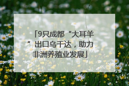 9只成都“大耳羊”出口乌干达，助力非洲养殖业发展