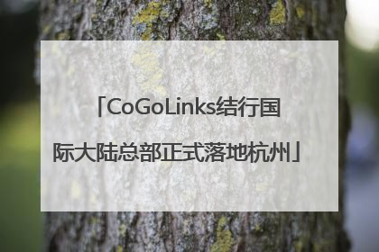 CoGoLinks结行国际大陆总部正式落地杭州