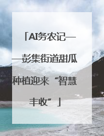 AI务农记——彭集街道甜瓜种植迎来“智慧丰收”