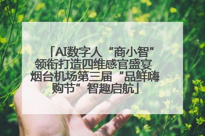 AI数字人“商小智”领衔打造四维感官盛宴 烟台机场第三届“品鲜嗨购节”智趣启航