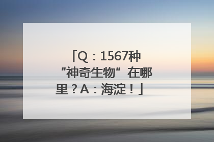 Q：1567种“神奇生物”在哪里？A：海淀！